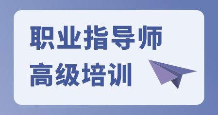 職業(yè)指導師（高級）
